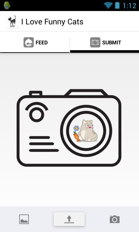 I love funny cats