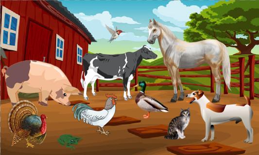 Farm Animal Sounds