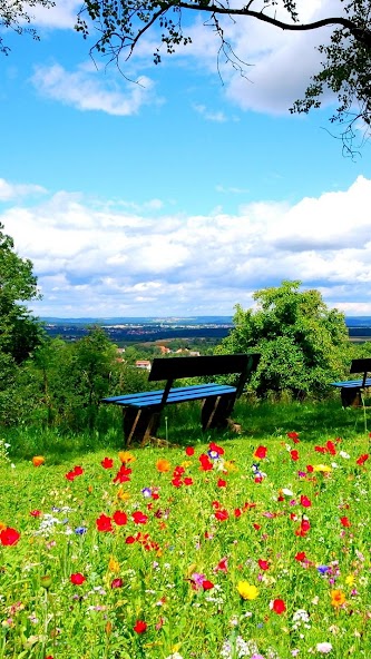 Nature Wallpapers 1