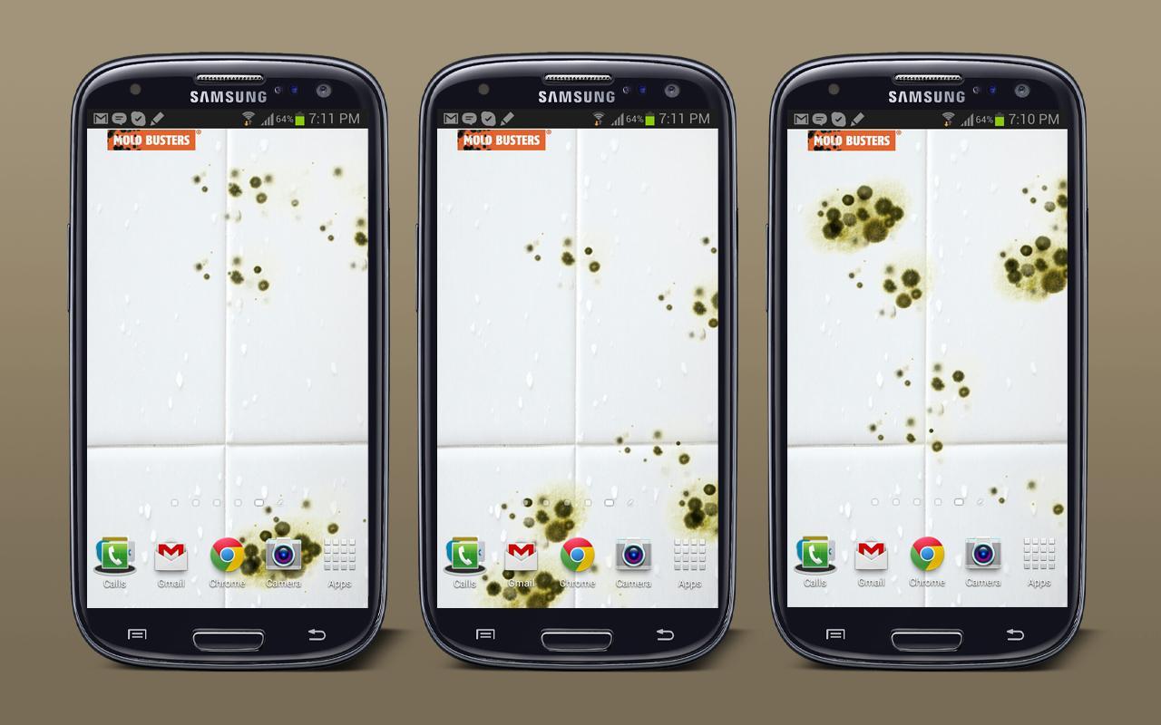 Mold Live Wallpaper