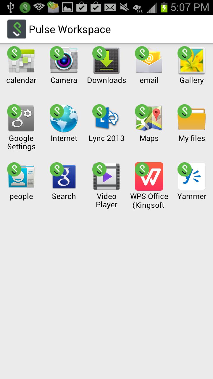 Pulse Workspace VM
