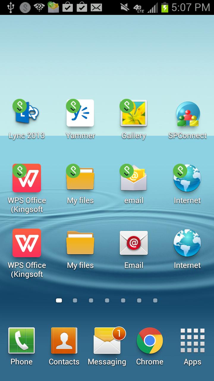 Pulse Workspace VM