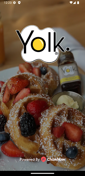Yolk