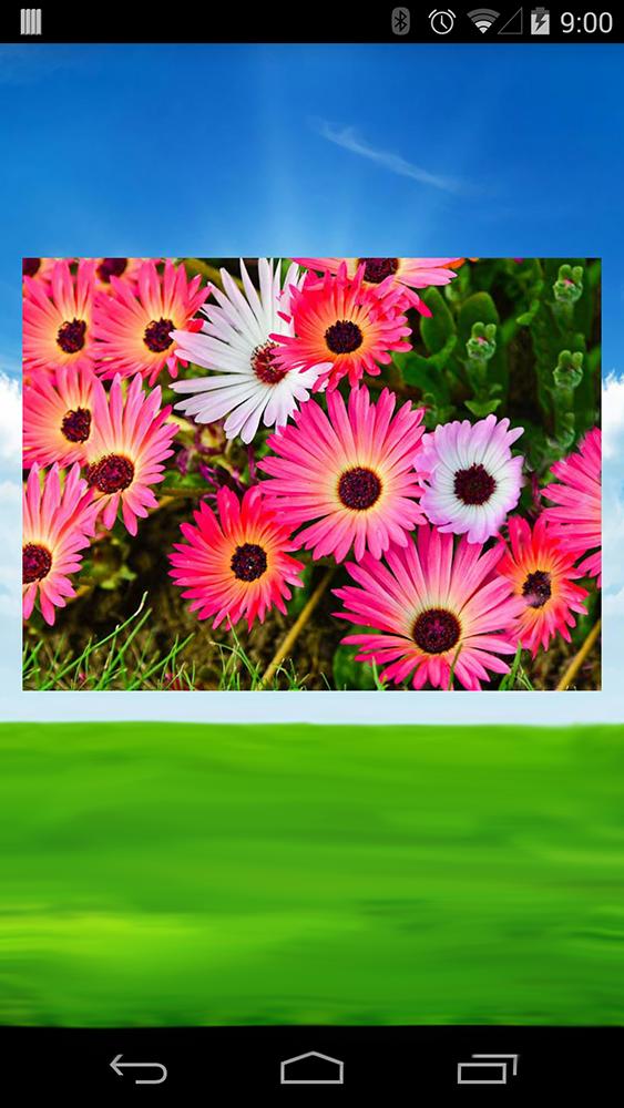 Tile Jigsaw Flowers