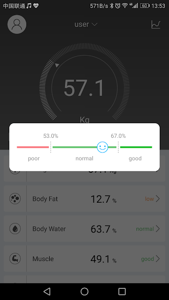 Fitbrick2