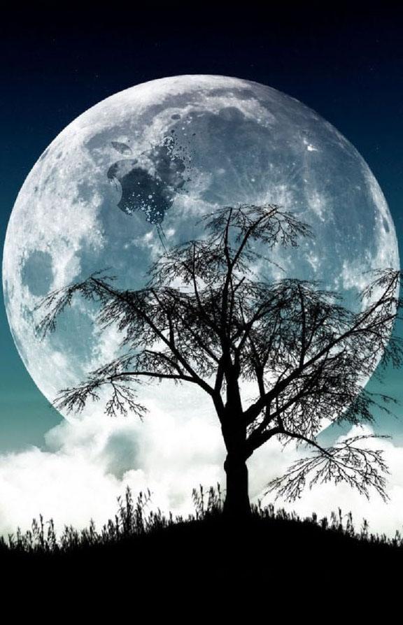 Moonlight Wallpaper