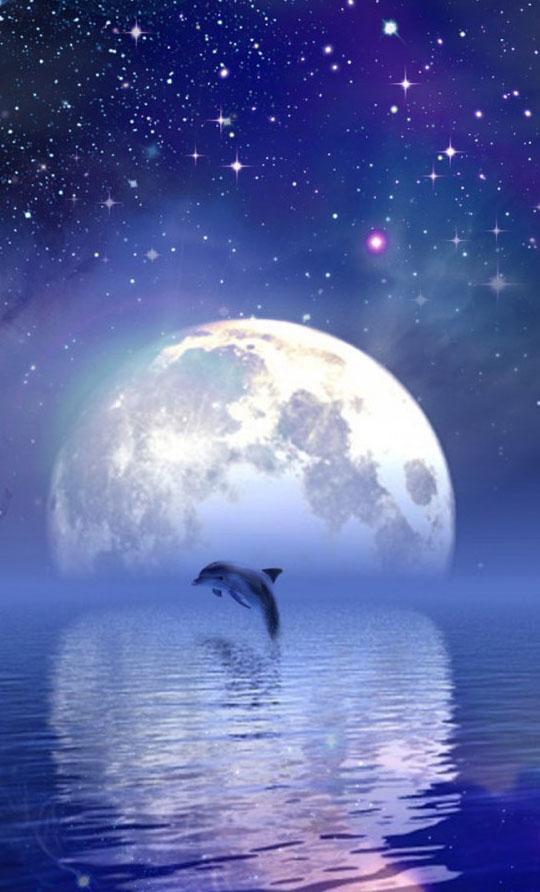 Moonlight Wallpaper