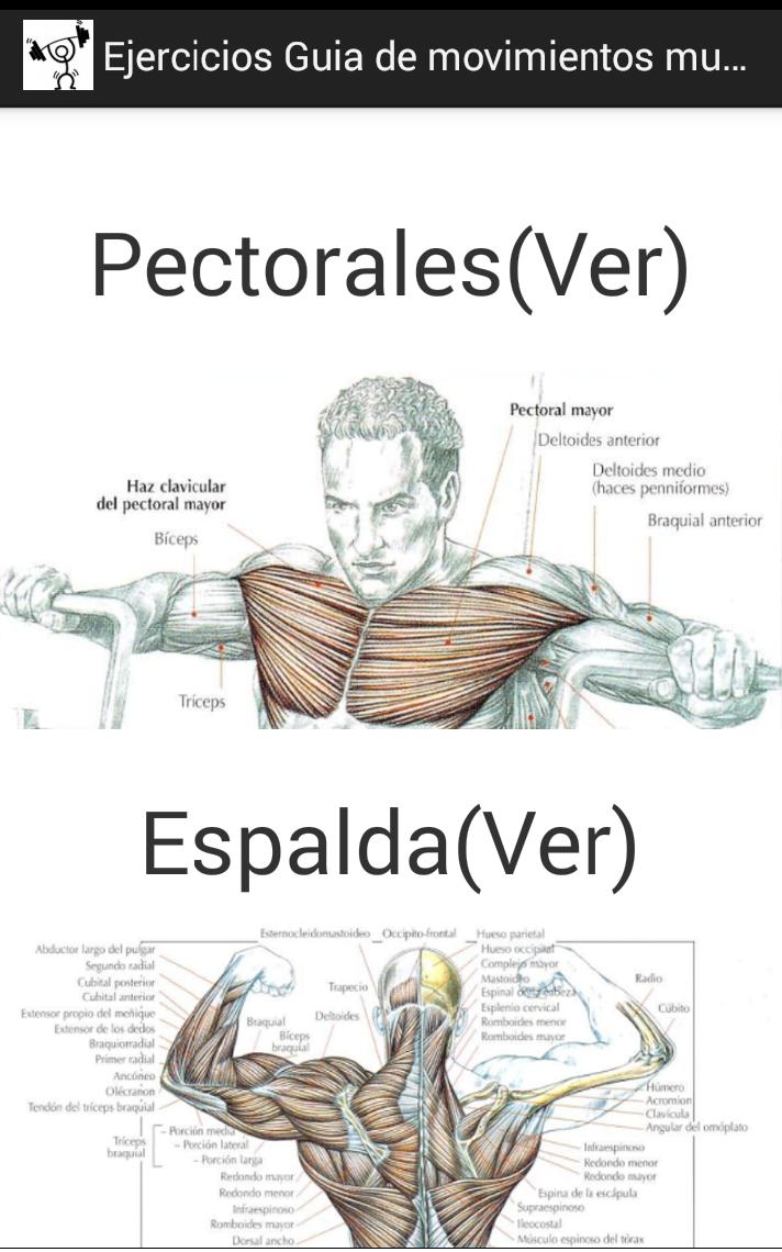 Ejercicios guia de movimientos