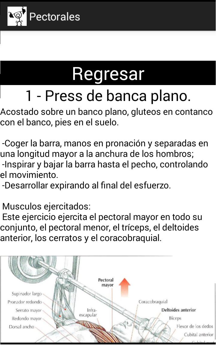 Ejercicios guia de movimientos