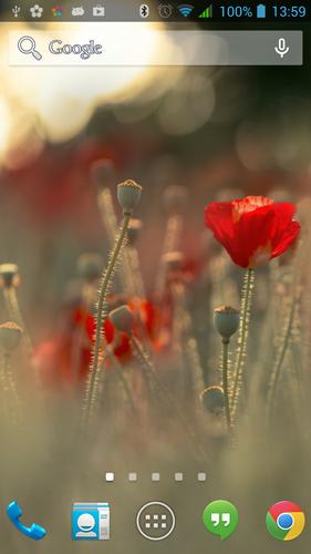 MC-Photo Live Wallpaper