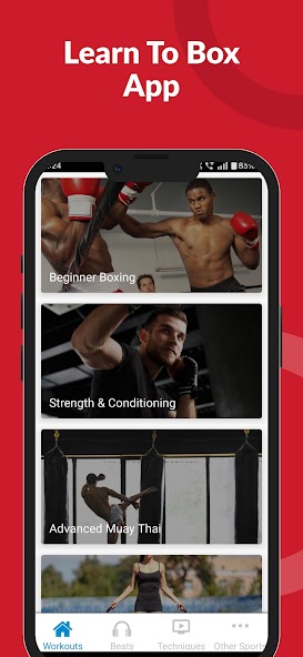 Learn to Box: Boxing Lessons