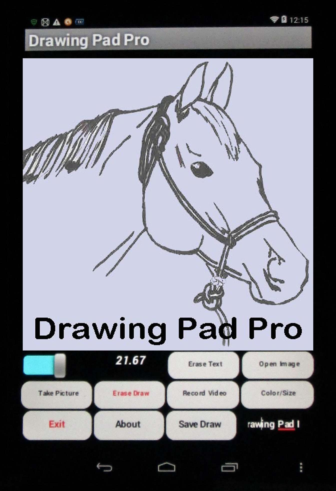 Drawing Pad Pro