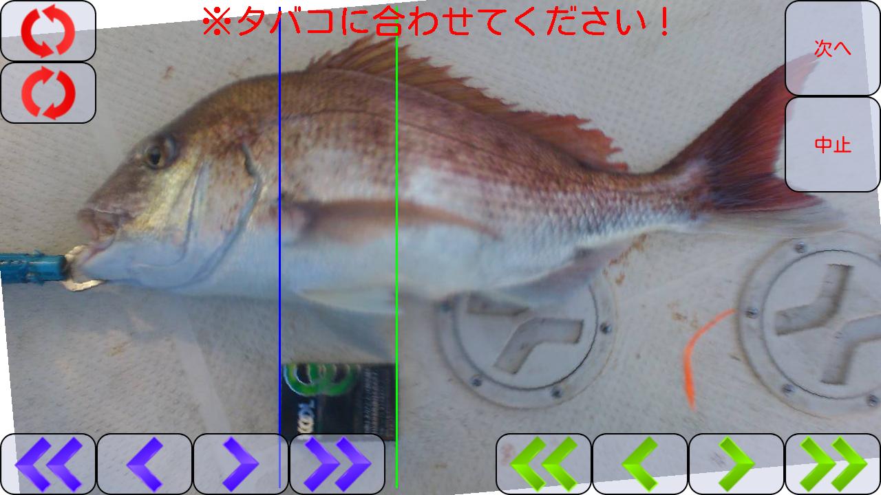 Fish measurement