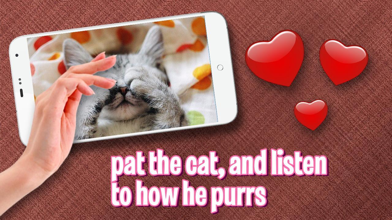 Pat Cute Kitten