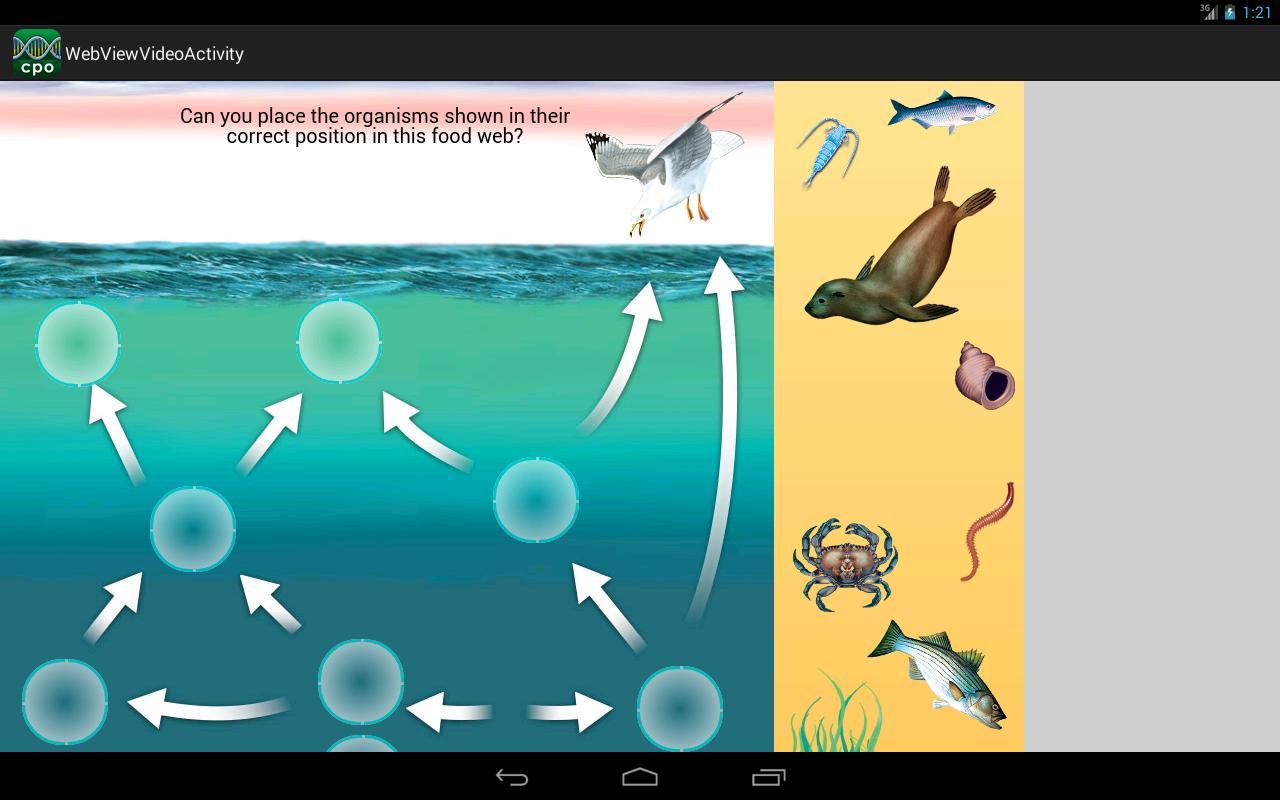 Life Science Glossary