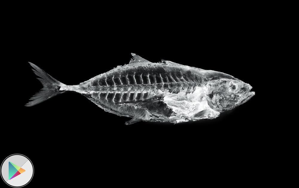 X-ray Camera Scanner Prank