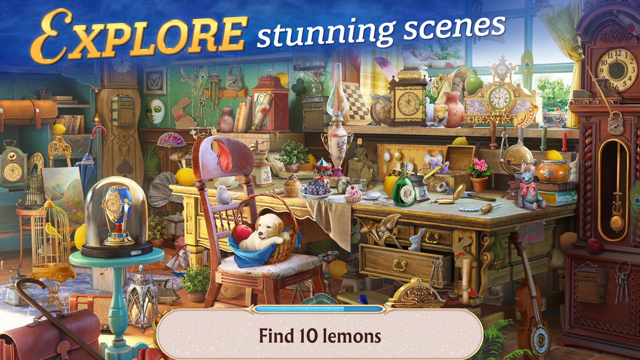 Seekers Notes: Hidden Objects