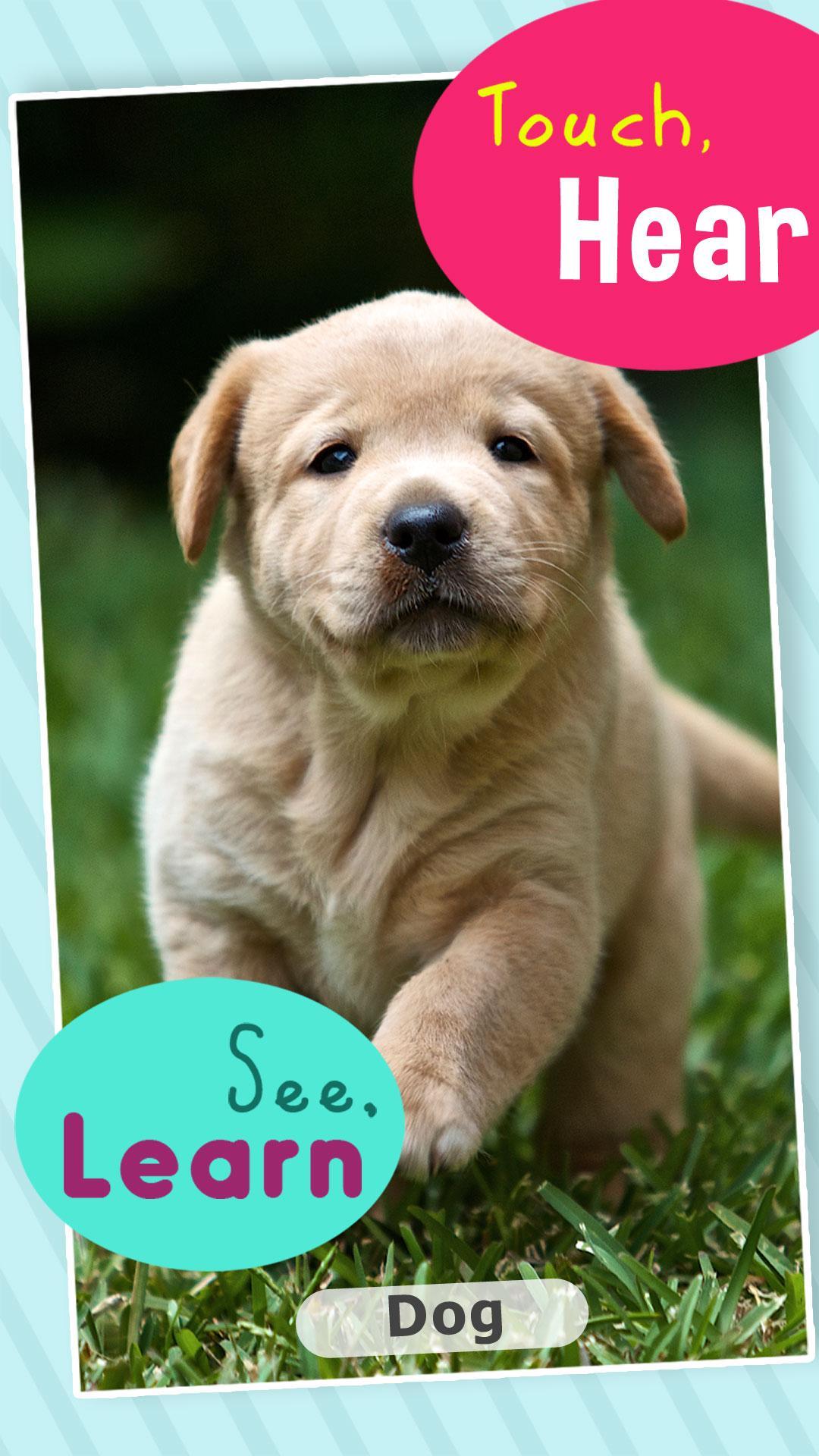 Animal Sounds 123 for Toddler