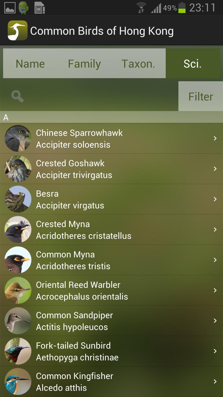 Common Birds of Hong Kong