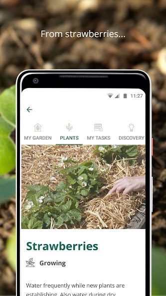 R.H.S. Grow Your Own