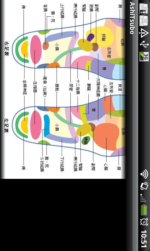 Foot Reflexology