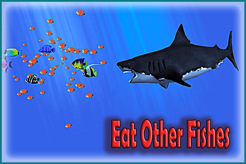 Angry Blue Shark 2016