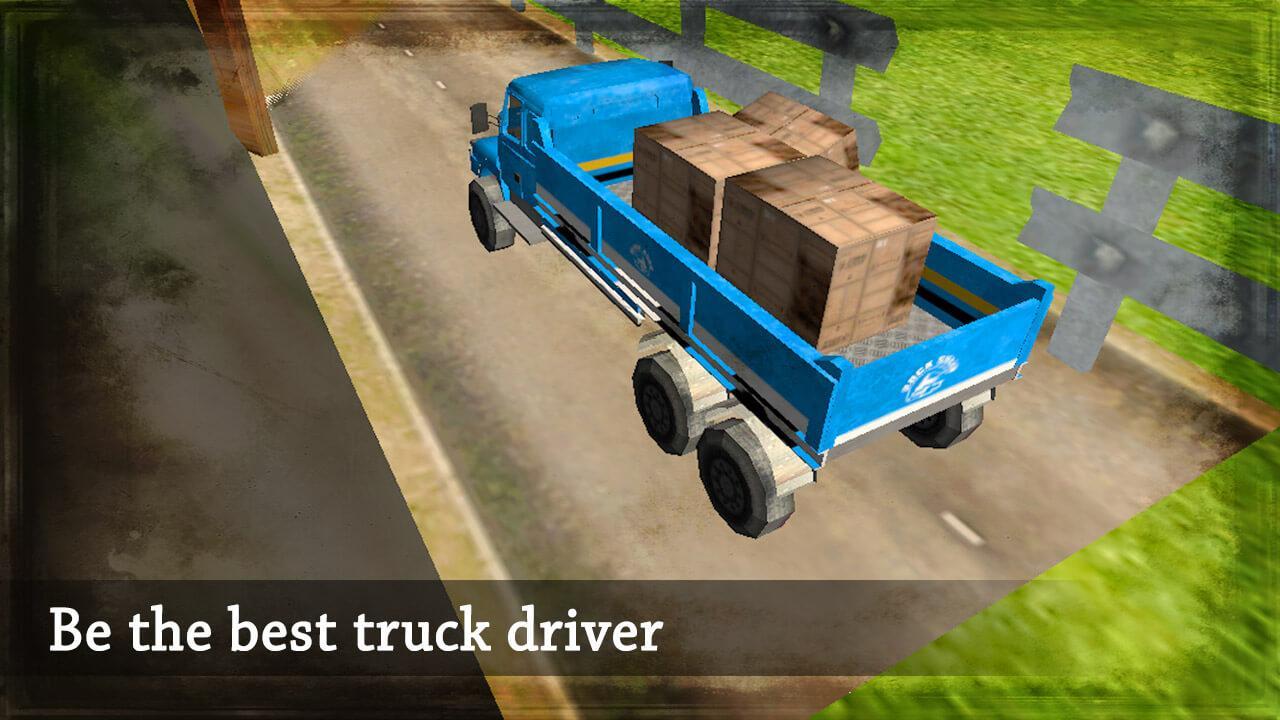 Cargo Truck Driving