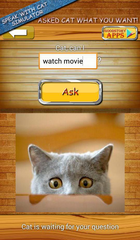 Ask Cat Speak Simulator