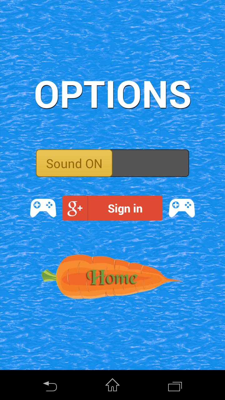 Runny Bunny Adventure