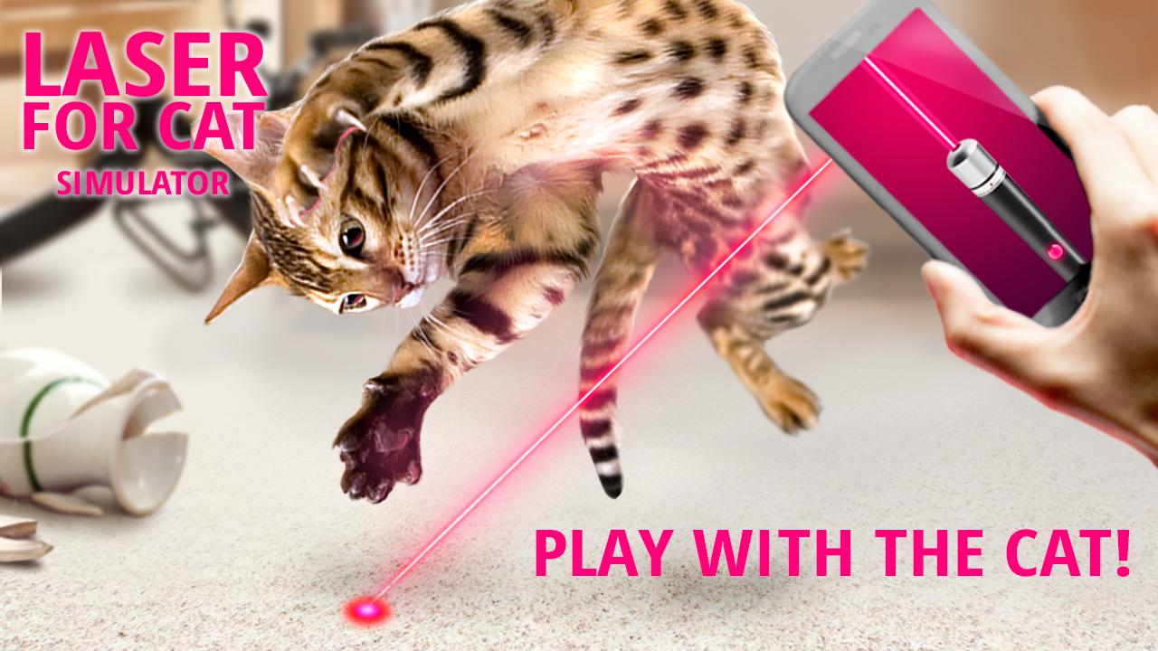 Laser for cat. Simulator