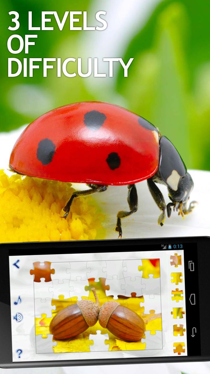 Jigsaw Puzzles Seasons