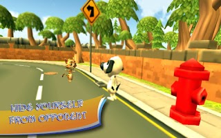 Hide & Seek : Cat vs Dog