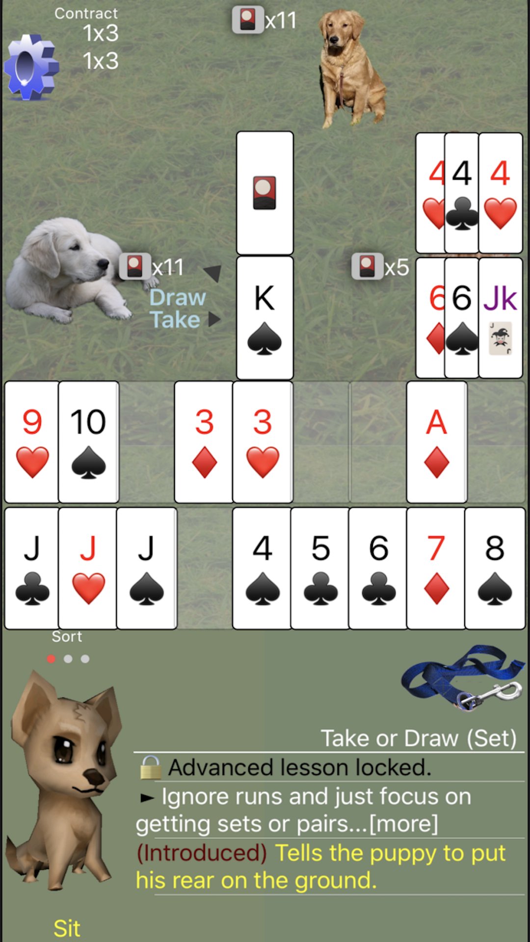 K9 Shanghai Rummy