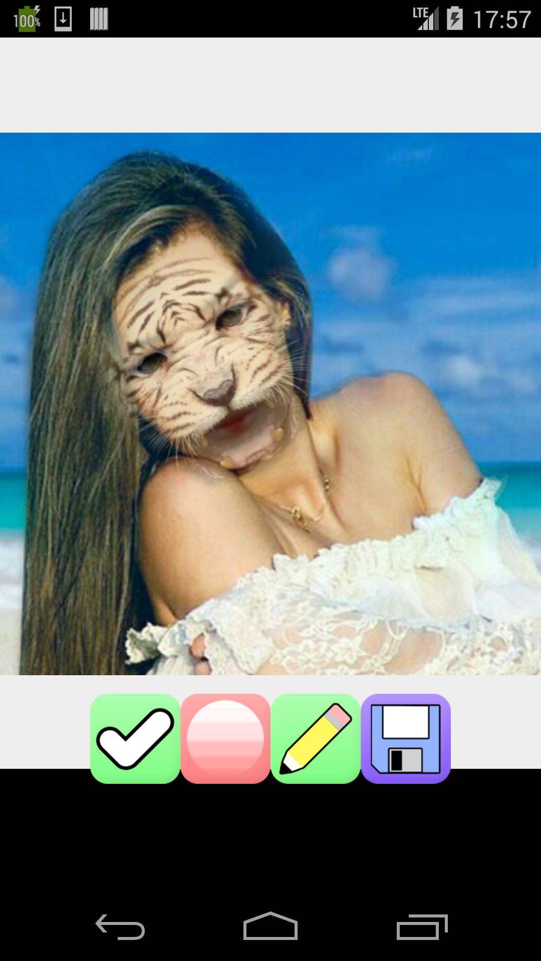 add tiger face to picture