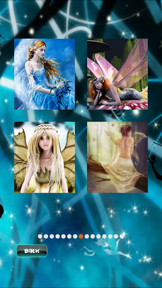 Fairy Wonderful Puzzle