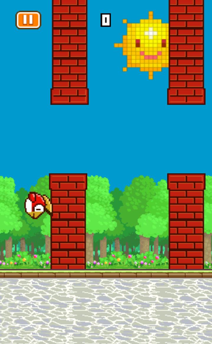 Rocky Bird
